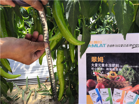 復合肥料，拉姆拉
