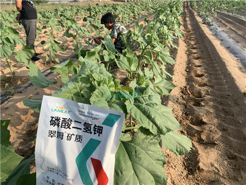水溶肥，翠姆，拉姆拉